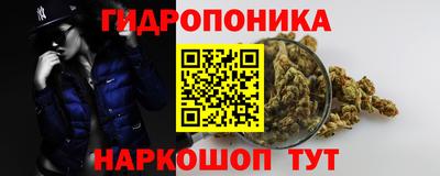 прущие грибы Волжск