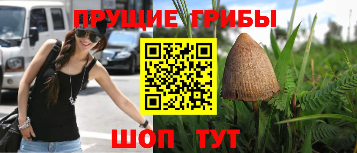 Нижний Тагил  Галлюциногенные грибы Psilocybe  Вход с VPN 